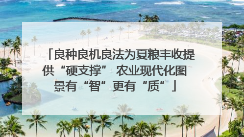良种良机良法为夏粮丰收提供“硬支撑” 农业现代化图景有“智”更有“质”