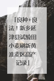 良种+良法！新乡延津县试验田小麦刷新黄淮麦区高产记录
