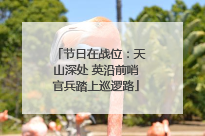 节日在战位：天山深处 英沿前哨官兵踏上巡逻路