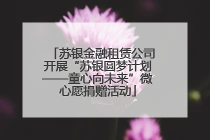苏银金融租赁公司开展“苏银圆梦计划——童心向未来”微心愿捐赠活动