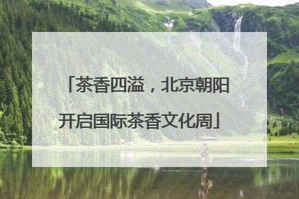茶香四溢，北京朝阳开启国际茶香文化周