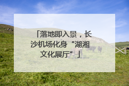 落地即入景，长沙机场化身“湖湘文化展厅”