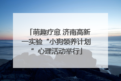 萌趣疗愈 济南高新一实验“小狗领养计划”心理活动举行
