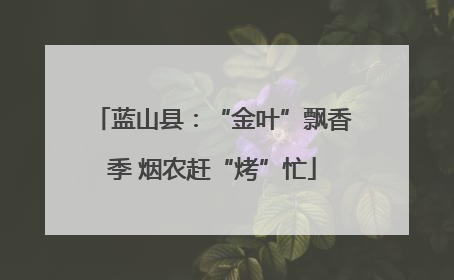 蓝山县：“金叶”飘香季 烟农赶“烤”忙