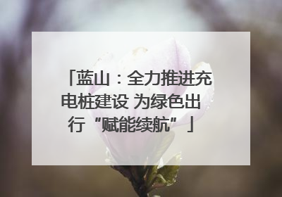 蓝山：全力推进充电桩建设 为绿色出行“赋能续航”