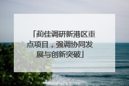 蔺佳调研新港区重点项目，强调协同发展与创新突破