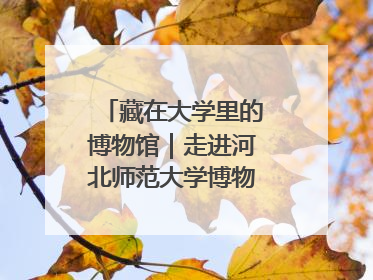 藏在大学里的博物馆｜走进河北师范大学博物馆天地科学馆：在校园里赴一场“宇宙之约”