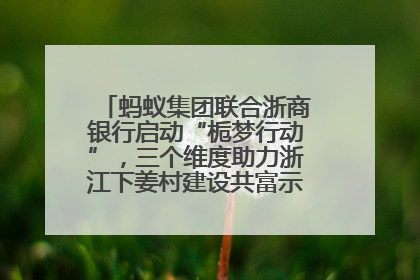 蚂蚁集团联合浙商银行启动“栀梦行动”，三个维度助力浙江下姜村建设共富示范区示范点