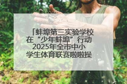 蚌埠第三实验学校在“少年蚌埠”行动2025年全市中小学生体育联赛啦啦操比赛中获佳绩