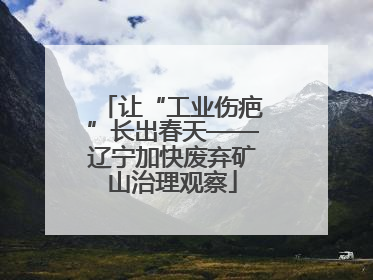 让“工业伤疤”长出春天——辽宁加快废弃矿山治理观察