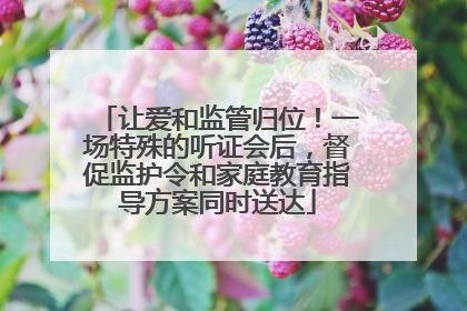 让爱和监管归位！一场特殊的听证会后，督促监护令和家庭教育指导方案同时送达