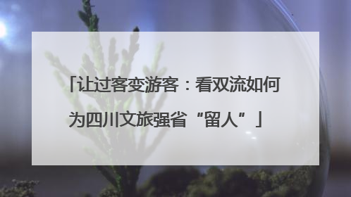 让过客变游客：看双流如何为四川文旅强省“留人”