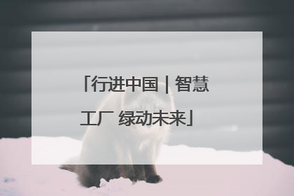 行进中国｜智慧工厂 绿动未来