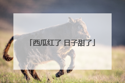 西瓜红了 日子甜了