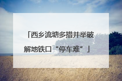 西乡流塘多措并举破解地铁口“停车难”