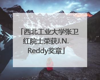 西北工业大学张卫红院士荣获J.N.Reddy奖章