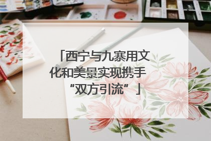 西宁与九寨用文化和美景实现携手“双方引流”
