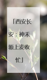 西安长安：神禾塬上麦收忙