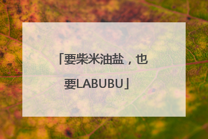 要柴米油盐，也要LABUBU