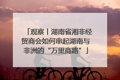 观察丨湖南省湘非经贸商会如何串起湖南与非洲的“万里商路”