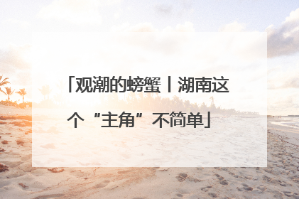 观潮的螃蟹丨湖南这个“主角”不简单