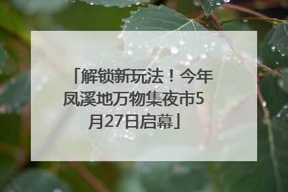 解锁新玩法！今年凤溪地万物集夜市5月27日启幕