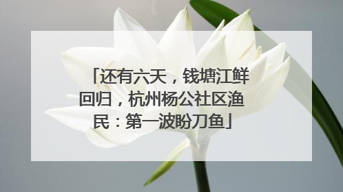 还有六天，钱塘江鲜回归，杭州杨公社区渔民：第一波盼刀鱼