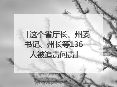 这个省厅长、州委书记、州长等136人被追责问责