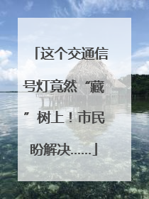 这个交通信号灯竟然“藏”树上！市民盼解决……