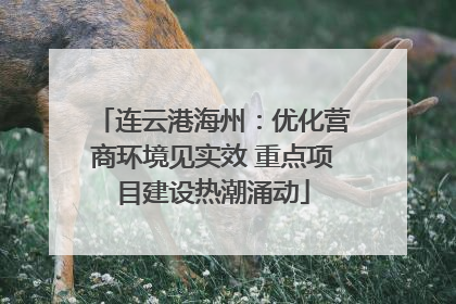 连云港海州：优化营商环境见实效 重点项目建设热潮涌动