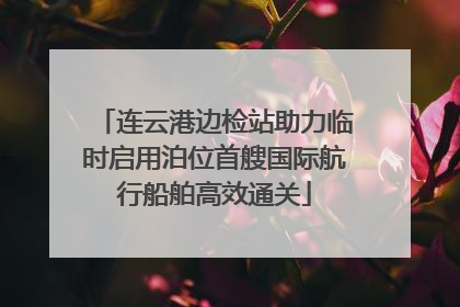 连云港边检站助力临时启用泊位首艘国际航行船舶高效通关