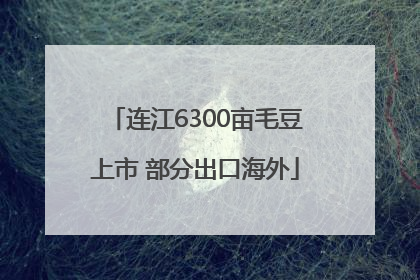 连江6300亩毛豆上市 部分出口海外