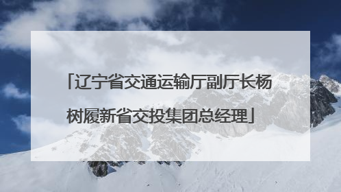 辽宁省交通运输厅副厅长杨树履新省交投集团总经理