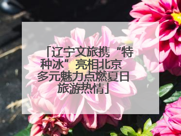 辽宁文旅携“特种冰”亮相北京 多元魅力点燃夏日旅游热情
