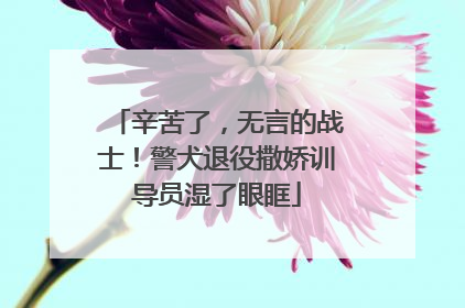 辛苦了，无言的战士！警犬退役撒娇训导员湿了眼眶