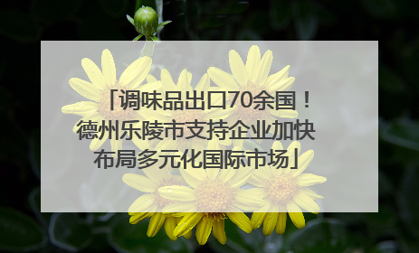 调味品出口70余国！德州乐陵市支持企业加快布局多元化国际市场