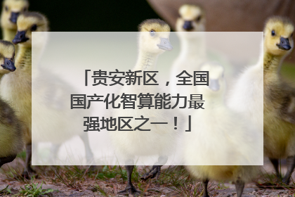 贵安新区，全国国产化智算能力最强地区之一！