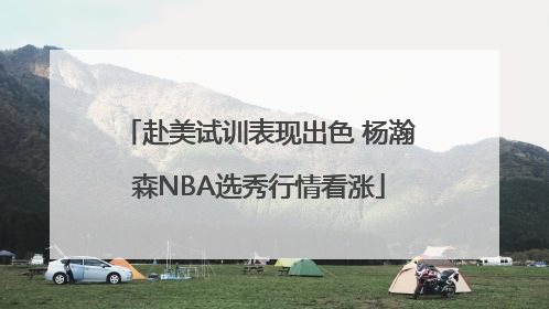 赴美试训表现出色 杨瀚森NBA选秀行情看涨