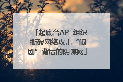 起底台APT组织 撕破网络攻击“闹剧”背后的阴谋网