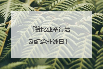 赞比亚举行活动纪念非洲日