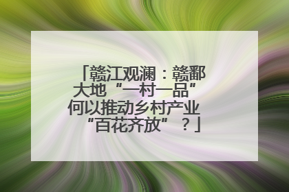 赣江观澜：赣鄱大地“一村一品”何以推动乡村产业“百花齐放”？