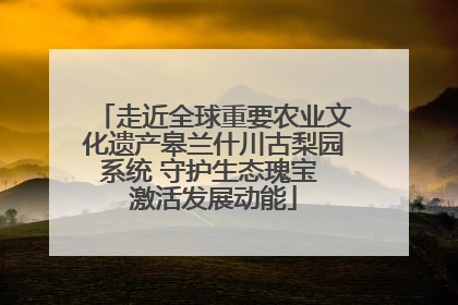 走近全球重要农业文化遗产皋兰什川古梨园系统 守护生态瑰宝 激活发展动能