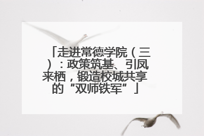 走进常德学院（三）：政策筑基、引凤来栖，锻造校城共享的“双师铁军”