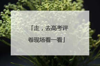 走，去高考评卷现场看一看