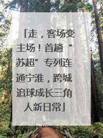走，客场变主场！首趟“苏超”专列连通宁淮，跨城追球成长三角人新日常