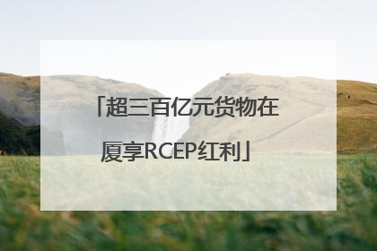 超三百亿元货物在厦享RCEP红利
