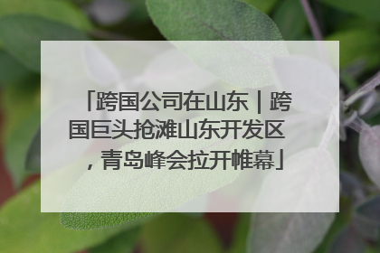 跨国公司在山东｜跨国巨头抢滩山东开发区，青岛峰会拉开帷幕