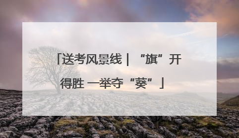 送考风景线｜“旗”开得胜 一举夺“葵”