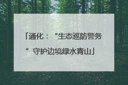 通化：“生态巡防警务”守护边境绿水青山