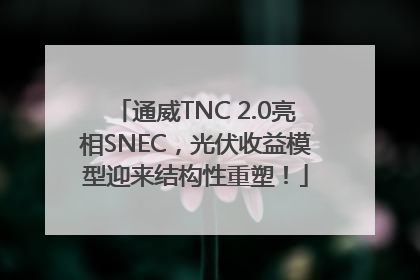 通威TNC 2.0亮相SNEC，光伏收益模型迎来结构性重塑！